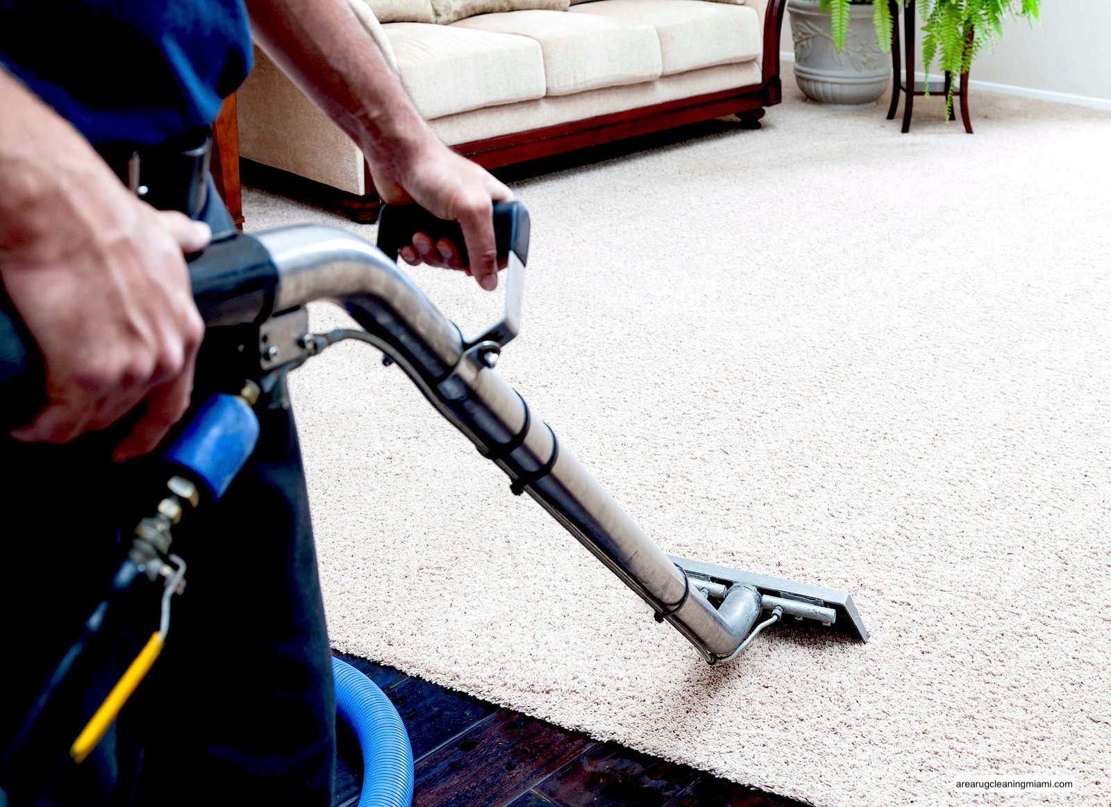 commercial carpet cleaning service commercial carpet cleaning