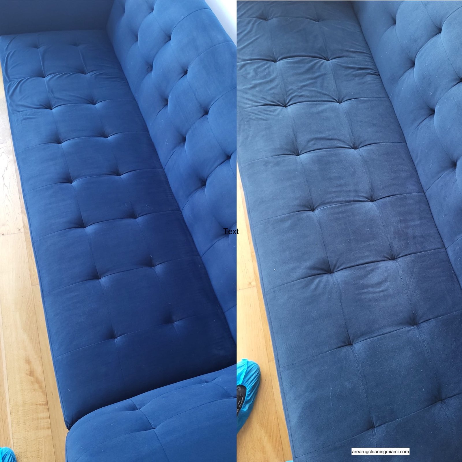 couch cleaning new york service couch cleaning new york