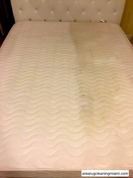 mattress cleaning miami service mattress cleaning manhattan