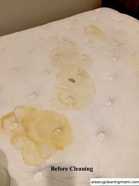 mattress cleaning miami service mattress cleaning miami