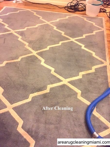rug cleaning service miami